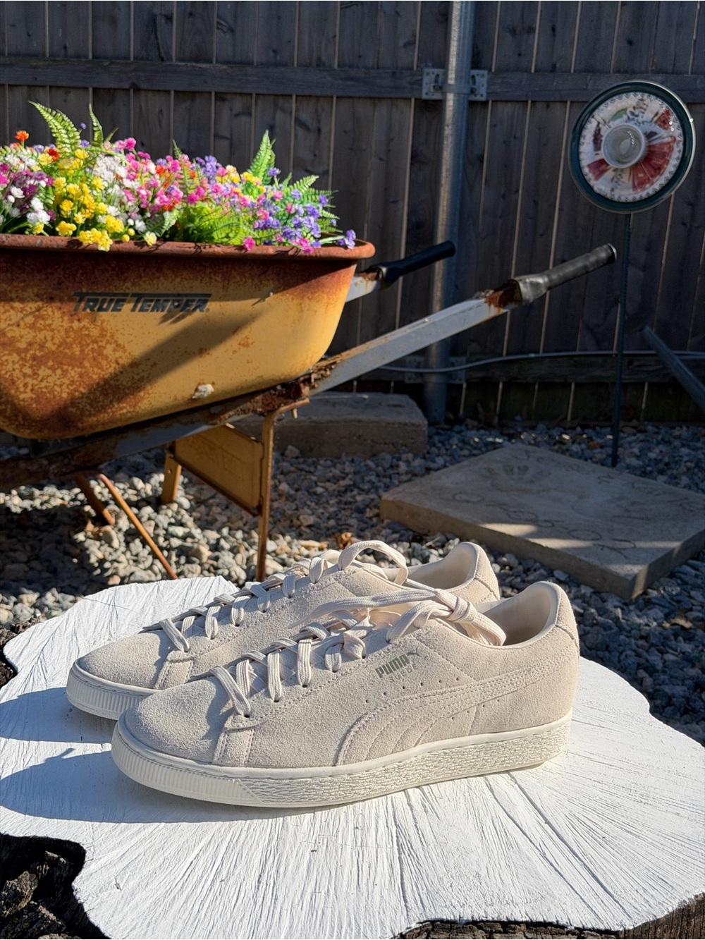 Puma suede